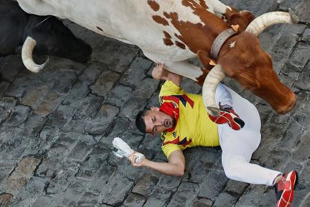 Die Bilder des Tages