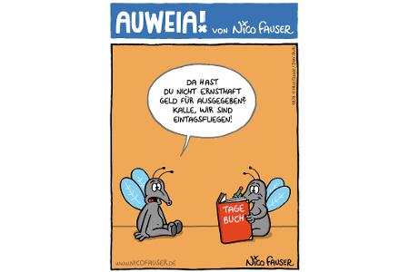 Alltäglicher Humor und Vögel