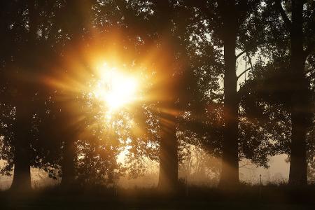 Die Bilder des Tages