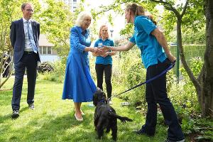 Königin Camilla im "Hundegarten": Darum durfte Hündin Moley nicht mit