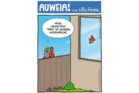 Alltäglicher Humor und Vögel