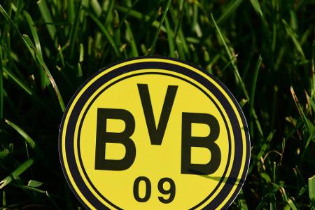 Platz 2: Borussia Dortmund - 76,0 Millionen Euro