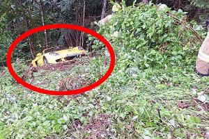 Welches Supercar wird hier aus dem Unterholz gezogen?