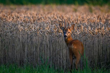 Die Bilder des Tages
