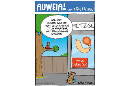 Alltäglicher Humor und Vögel