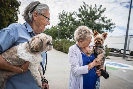 Zwei ältere Frauen haben jeweils einen Hund auf dem Arm