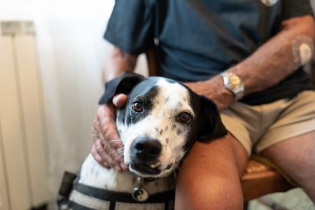Hund sitzt neben seinem Herrchen im Wartezimmer beim Tierarzt