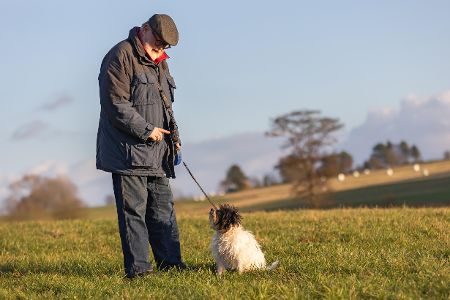 Älterer Mann spricht auf einer Wiese mit seinem Hund
