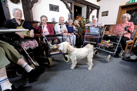 Heimbewohnerinnen sitzen im Kreis um einen Hund herum