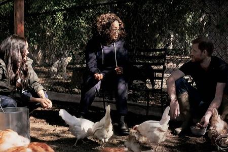 Oprah Winfrey erzählt von Harry und Meghans Oprah Winfrey erzählt von Harry und Meghans