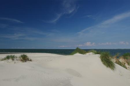 Amrum