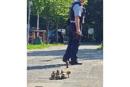 Bundespolizie Bremen, BPOLR BHV, 2025