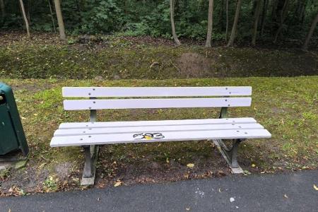 Auch auf dieser Bank im Schlosspark ist die Zahl 593 aufgeschmiert worden.