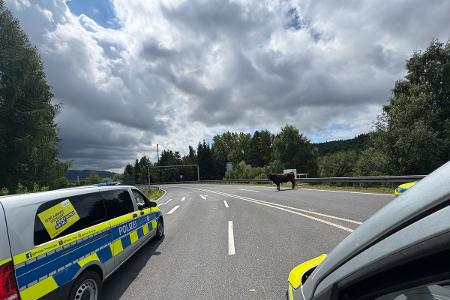 Quelle: Polizei