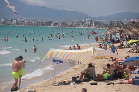 Fischattacken stören die Idylle an der spanischen Mittelmeerküste fast nie. (Archivfoto) Fischattacken stören die Idylle an der spanischen Mittelmeerküste fast nie. (Archivfoto)