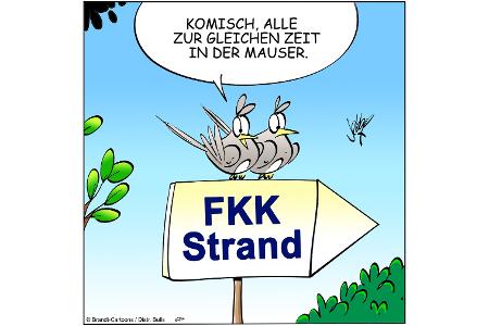 NEUEZEITEN