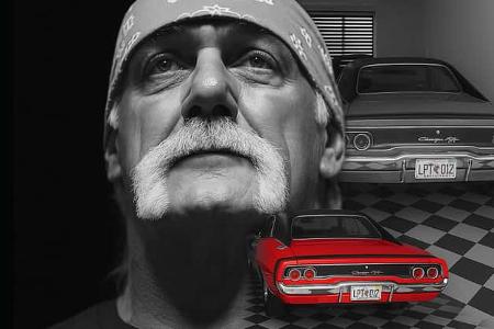 Hulk Hogan Hulk Hogan