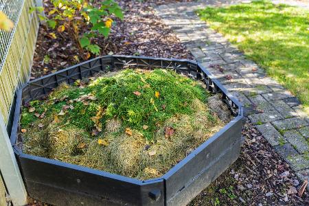 Keine Berge nassen Rasens