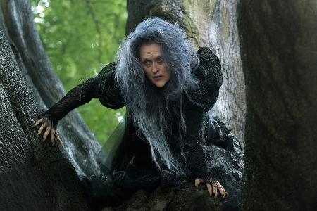 Into The Woods (2015)