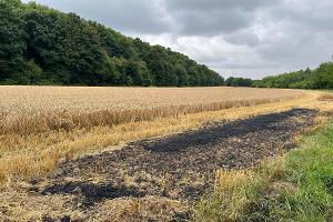 Brand auf Feld