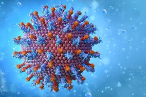 Hepatitis-A-Virus