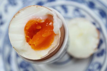 Eier