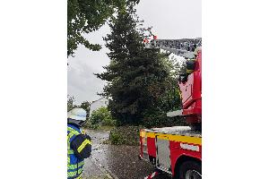 Eine umsturzbedrohte Kiefer an einer Böschung in einer Durchgangstraße  wurde über die Drehleiter zersägt.