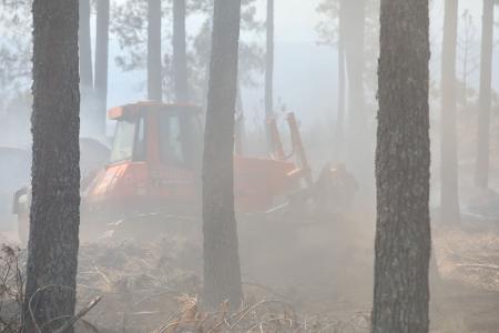 Mit schwerem Gerät wie dieser Planierraupe schlagen Brandbekämpfer Schneisen in die Wälder, um so die Flammen einzudämmen. 