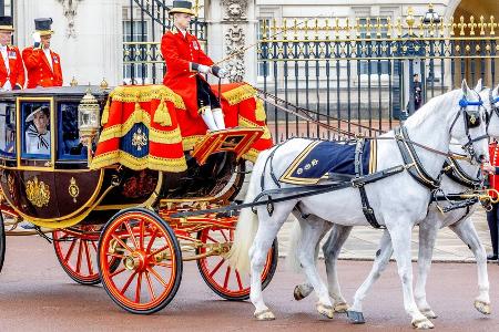 Royal Family verabschiedet Tyrone in den Ruhestand Royal Family verabschiedet Tyrone in den Ruhestand