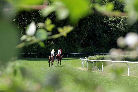 Galopp: Nicoreni gewinnt für Schiergen und Wolff