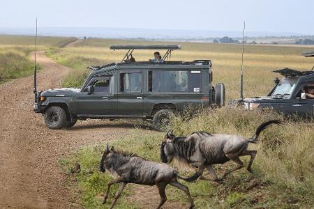 Touristen versammeln sich in der Nähe des Mara-Flusses im Masai Mara Nationalreservat, um die alljährliche Wanderung von rund 1,5 Millionen Gnus zu beobachten.