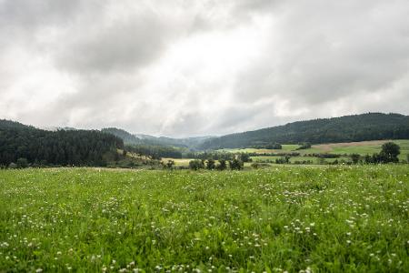 Zur Wochenmitte hat das verregnete Wetter voraussichtlich ein Ende. 