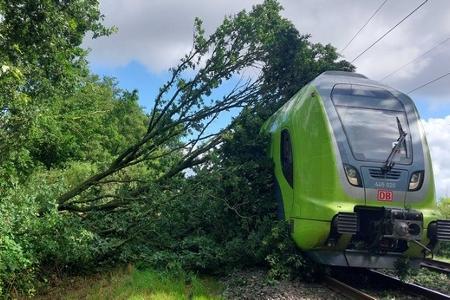 Zug fährt in Baum auf Oberleitung
Foto Bundespolizei Zug fährt in Baum auf Oberleitung
Foto Bundespolizei