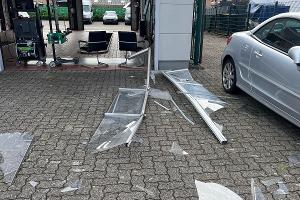 Der Dülmener durchbrach zunächst das Tor.