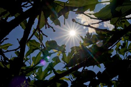 Über Temperaturen um die 30 Grad kann sich vor allem der Süden in den kommenden Tagen freuen. (Archivbild) Über Temperaturen um die 30 Grad kann sich vor allem der Süden in den kommenden Tagen freuen. (Archivbild)