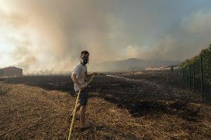 Das Feuer in Südfrankreich breitete sich rapide aus.