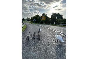Bildquelle: Polizei Stralsund