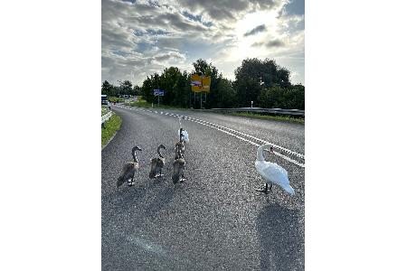 Bildquelle: Polizei Stralsund
