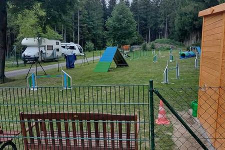 Viechtach Parkour, Hunde, Training