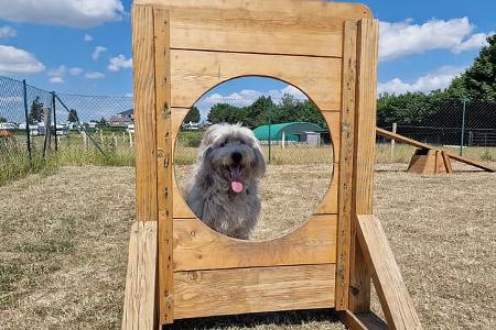 Walkyrien Hund 1, Parkour, Training