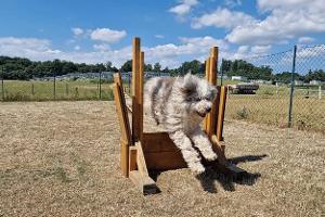 Walkyrien Hund 2, Parkour, Training