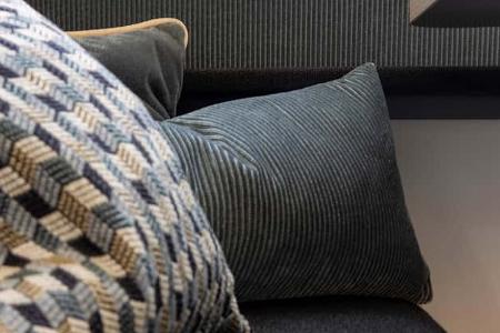 Frankia Now Teilintegrierter