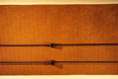 Frankia Now Teilintegrierter