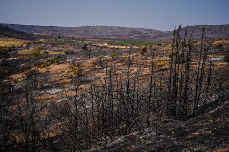 16.000 Hektar Fläche wurden von dem Waldbrand in Südfrankreich in Mitleidenschaft gezogen.