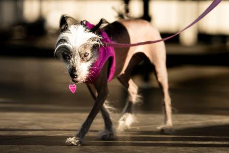 Poppy hatte statt Kuschelfell viel nackte Haut zu bieten.