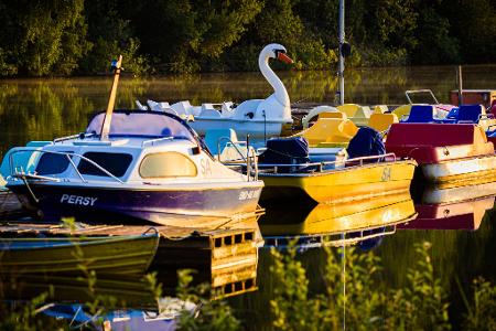 Boote, darunter ein Tretboot in Schwan-Optik, liegen im Licht der aufgehenden Sonne an einem Steg im Altwarmbüchener See.