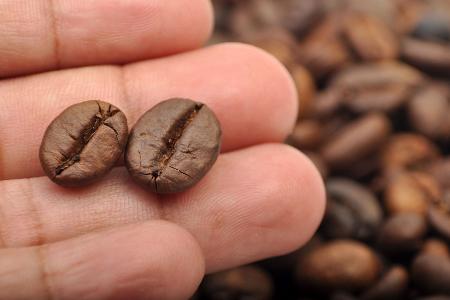Kaffeebohnen