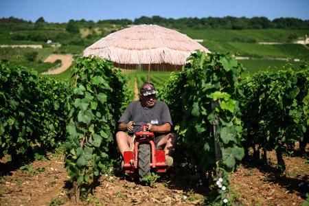 Neben Lieferdiensten und Bauarbeitern ist die Landwirtschaft besonders von Hitze betroffen. (Archivbild) Neben Lieferdiensten und Bauarbeitern ist die Landwirtschaft besonders von Hitze betroffen. (Archivbild)