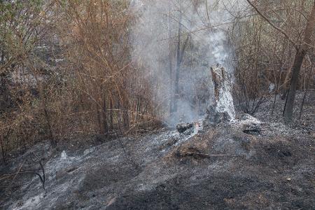Bei dem Feuer in Tres Cantos kam ein Mann in den Flammen ums Leben.