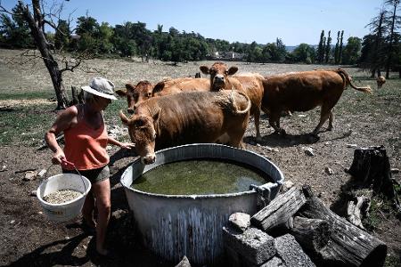 Die große Trockenheit macht in Frankreich insbesondere den Landwirten zu schaffen.